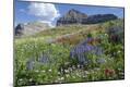 Photographic Print