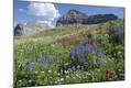Photographic Print