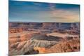 Photographic Print