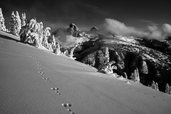 Photographic Print, , large