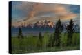 Stretched Canvas Print