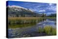 Stretched Canvas Print