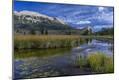 Photographic Print