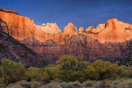 Photographic Print, , large