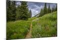 Photographic Print
