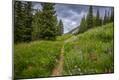 Photographic Print