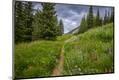 Photographic Print