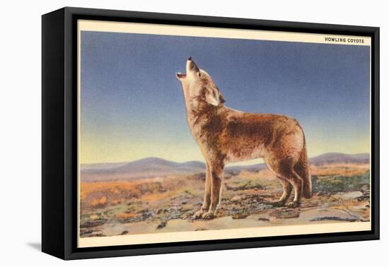 Howling Coyote-null-Framed Stretched Canvas