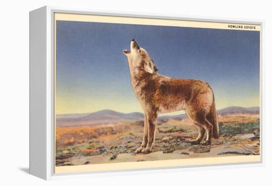 Howling Coyote-null-Framed Stretched Canvas