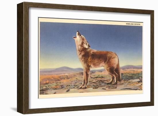 Howling Coyote-null-Framed Premium Giclee Print