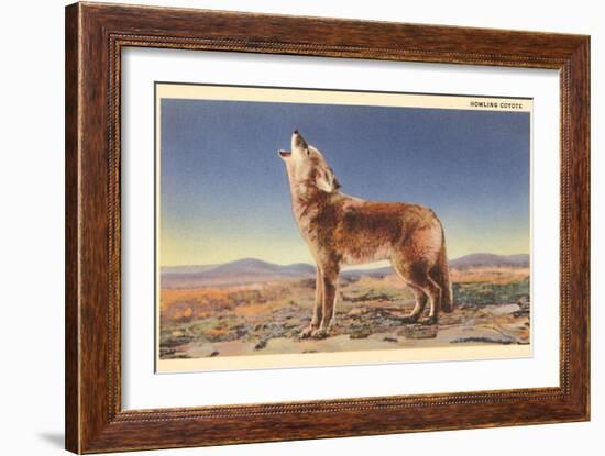 Howling Coyote-null-Framed Premium Giclee Print