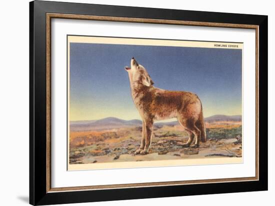 Howling Coyote-null-Framed Premium Giclee Print