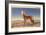 Howling Coyote-null-Framed Premium Giclee Print