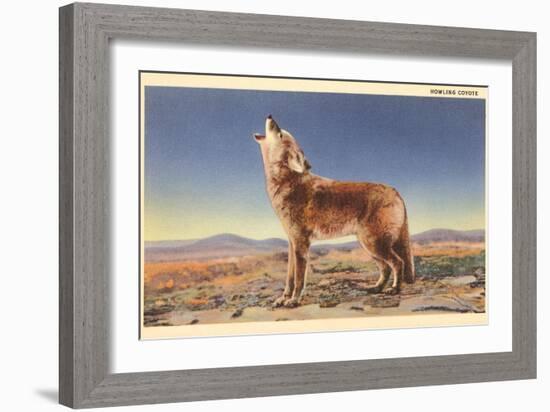 Howling Coyote-null-Framed Art Print