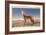 Howling Coyote-null-Framed Art Print