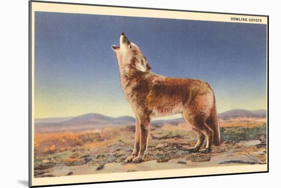 Howling Coyote-null-Mounted Art Print