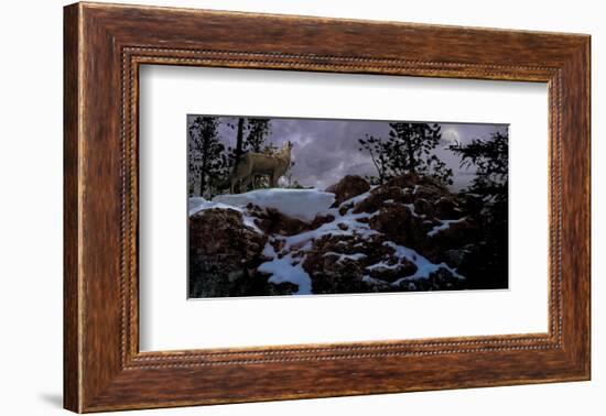 Howling Wolf-Steve Hunziker-Framed Art Print