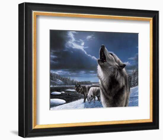 Howling Wolf-Kevin Daniel-Framed Art Print