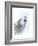 Howling Wolf-Michelle Faber-Framed Giclee Print