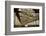 Howrah Bridge, Kolkata, West Bengal, India, Asia-Bhaskar Krishnamurthy-Framed Photographic Print