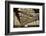 Howrah Bridge, Kolkata, West Bengal, India, Asia-Bhaskar Krishnamurthy-Framed Photographic Print