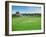 Howzat! Cricket at Poundbury, 2012-Liz Wright-Framed Giclee Print