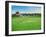 Howzat! Cricket at Poundbury, 2012-Liz Wright-Framed Giclee Print