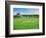 Howzat! Cricket at Poundbury, 2012-Liz Wright-Framed Giclee Print