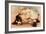 Hoytes Cologne, Dogs, Womens, USA, 1890-null-Framed Giclee Print