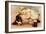 Hoytes Cologne, Dogs, Womens, USA, 1890-null-Framed Giclee Print