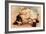 Hoytes Cologne, Dogs, Womens, USA, 1890-null-Framed Giclee Print