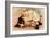 Hoytes Cologne, Dogs, Womens, USA, 1890-null-Framed Giclee Print