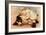 Hoytes Cologne, Dogs, Womens, USA, 1890-null-Framed Giclee Print