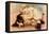 Hoytes Cologne, Dogs, Womens, USA, 1890-null-Framed Premier Image Canvas