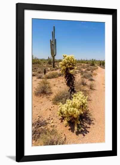 Photographic Print, , large