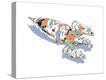 Stretched Canvas Print