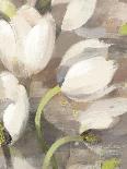 Tulip Delight II-Hristova Albena-Framed Stretched Canvas