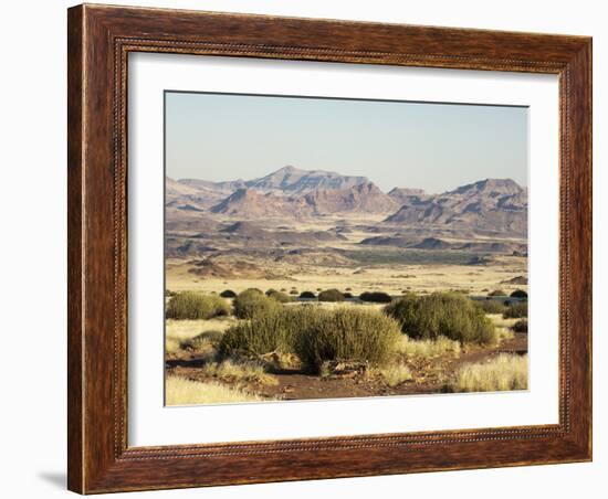 Huab River Valley, Torra Conservancy, Damaraland, Namibia, Africa-Sergio Pitamitz-Framed Photographic Print