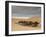 Huacachina Oasis, elevated view, Ica Region, Peru, South America-Karol Kozlowski-Framed Photographic Print