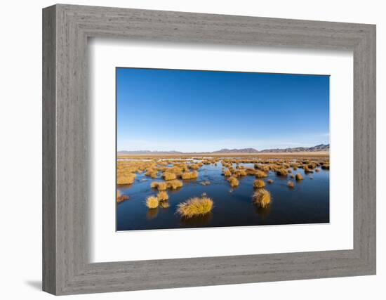 Huahu (Flower Lake), an Important Sanctuary for Birds, Sichuan, China, Asia-Alex Treadway-Framed Photographic Print