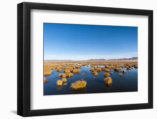 Huahu (Flower Lake), an Important Sanctuary for Birds, Sichuan, China, Asia-Alex Treadway-Framed Photographic Print