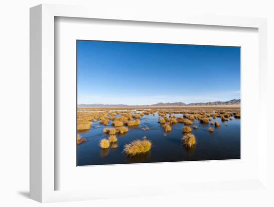 Huahu (Flower Lake), an Important Sanctuary for Birds, Sichuan, China, Asia-Alex Treadway-Framed Photographic Print