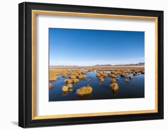 Huahu (Flower Lake), an Important Sanctuary for Birds, Sichuan, China, Asia-Alex Treadway-Framed Photographic Print