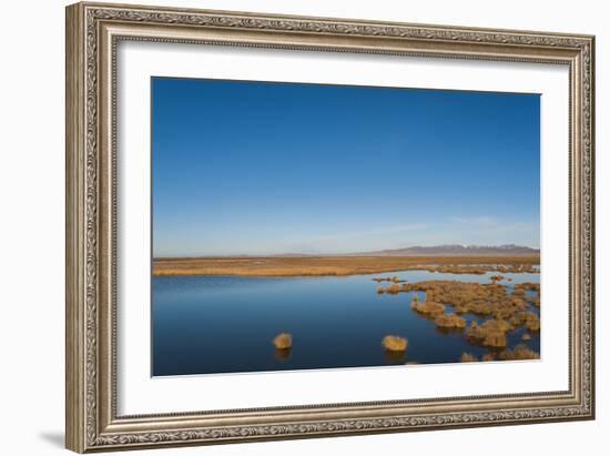 Huahu (Flower Lake), wetland area supporting large array of biodiversity on Tibetan plateau, China-Alex Treadway-Framed Photographic Print