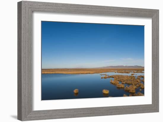 Huahu (Flower Lake), wetland area supporting large array of biodiversity on Tibetan plateau, China-Alex Treadway-Framed Photographic Print