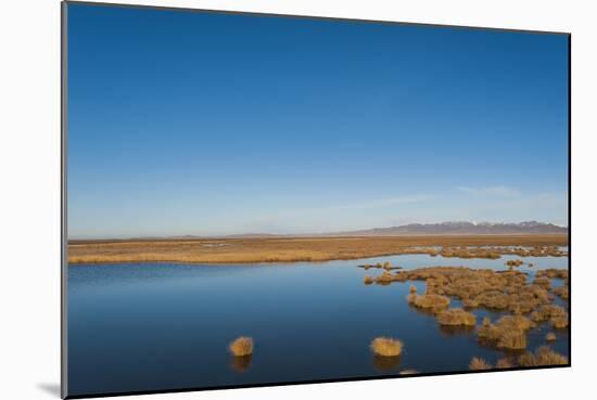 Huahu (Flower Lake), wetland area supporting large array of biodiversity on Tibetan plateau, China-Alex Treadway-Mounted Photographic Print
