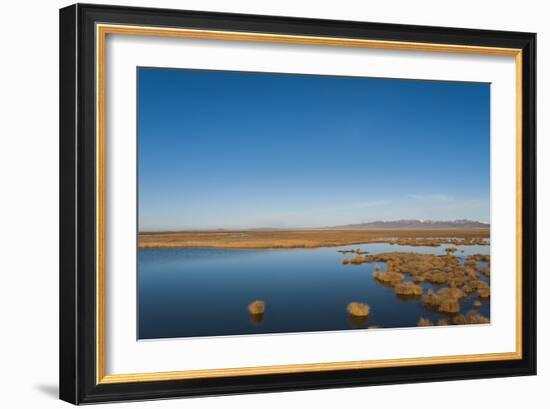 Huahu (Flower Lake), wetland area supporting large array of biodiversity on Tibetan plateau, China-Alex Treadway-Framed Photographic Print