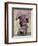 Huaxtec culture terracotta figurine-Unknown-Framed Giclee Print