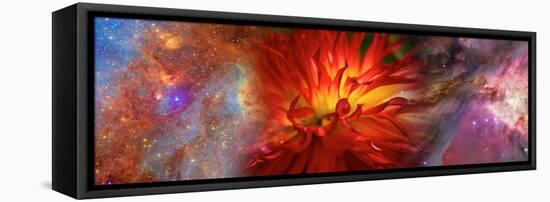 Hubble Galaxy with Red Chrysanthemums-null-Framed Premier Image Canvas