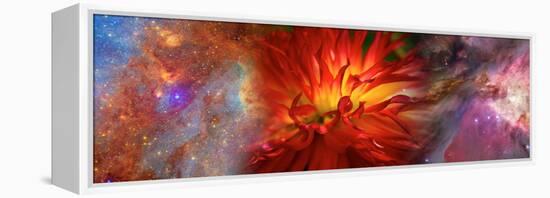 Hubble Galaxy with Red Chrysanthemums-null-Framed Premier Image Canvas